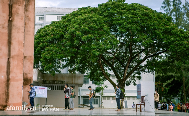 Có một Tây Đô rất lạ: Đâu rồi những tiếng rao, tiếng hò giữa chợ nổi, chỉ thấy phiên chợ một tiếng rưỡi đậm chất người miền Tây giữa lòng thành phố - Ảnh 16.