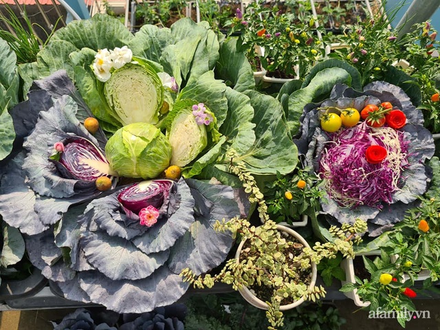 The surprising orderliness of the terrace garden with hundreds of fresh green vegetables in Binh Duong - Photo 17.