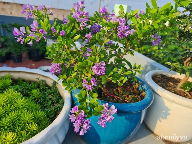 The unexpected orderliness of the terrace garden with hundreds of fresh green vegetables in Binh Duong - Photo 18.