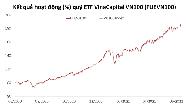 Tập trung vào các cổ phiếu hot như HPG, TCB, VPB, VHM: Quỹ ETF VinaCapital VN100 tăng trưởng 38,5% lợi nhuận sau 6 tháng đầu năm - Ảnh 1.