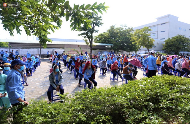 Hàng trăm công nhân ở Đà Nẵng chen chúc chờ lấy mẫu xét nghiệm sau khi công ty có ca dương tính SARS-CoV-2 - Ảnh 12.