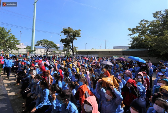 Hàng trăm công nhân ở Đà Nẵng chen chúc chờ lấy mẫu xét nghiệm sau khi công ty có ca dương tính SARS-CoV-2 - Ảnh 10.
