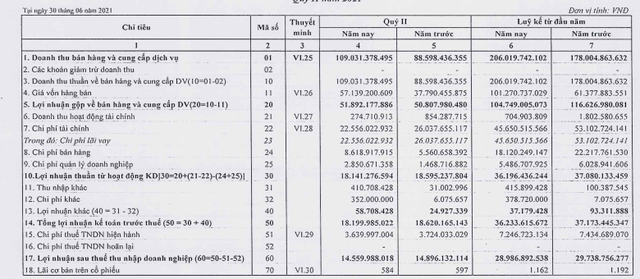 Hạ tầng Idico (HTI): Lợi nhuận 6 tháng đầu năm đi ngang, đạt 29 tỷ đồng - Ảnh 1.