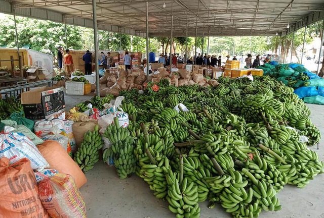 Các mặt hàng nông sản được người dân quyên góp.