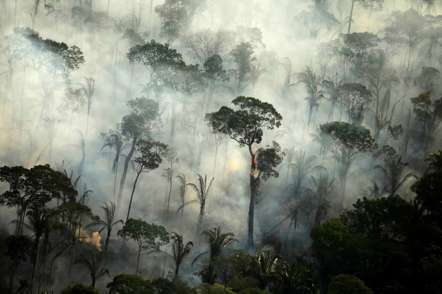 Thải ra nhiều CO2 hơn mức hấp thụ được, các nhà khoa học xác nhận rừng Amazon không còn là lá phổi xanh của Trái Đất - Ảnh 1.