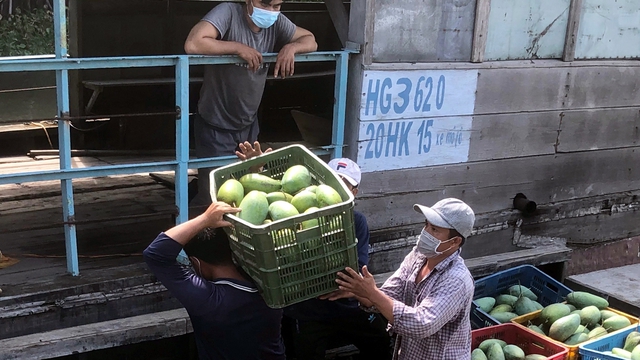 Trái cây Hậu Giang giảm giá mạnh do ảnh hưởng dịch Covid-19 - Ảnh 2.