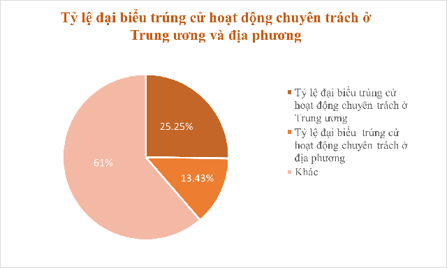 Những biểu đồ tổng quan về đại biểu Quốc hội khóa XV - Ảnh 4.