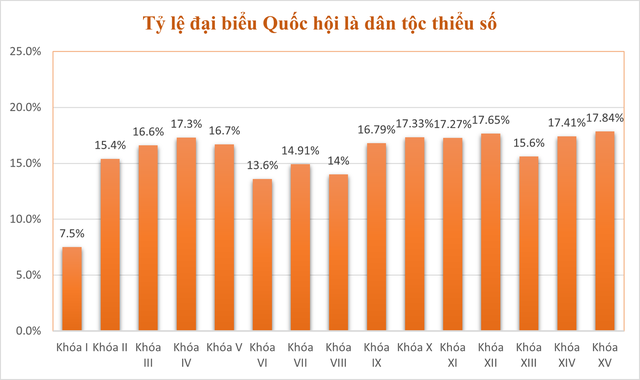 Những biểu đồ tổng quan về đại biểu Quốc hội khóa XV - Ảnh 6.