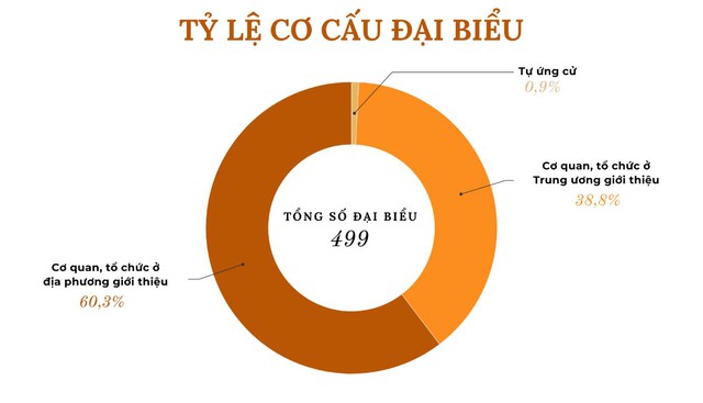 Những biểu đồ phản ánh cái nhìn tổng quan về các đại biểu Quốc hội khóa XV - Ảnh 3.