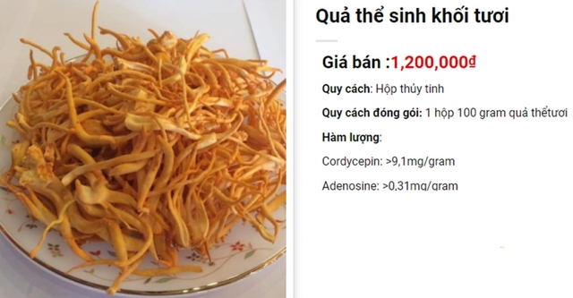 Thị trường đông trùng hạ thảo loạn giá, chất lượng bị thả nổi? - Ảnh 4.