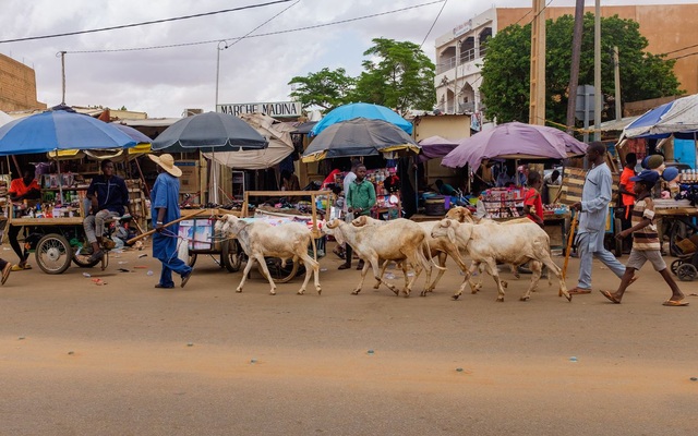 Vùng đất kỳ lạ bị Covid-19 lãng quên: Cơ sở cách ly phủ bụi, trung tâm điều trị bỏ hoang nhiều tháng nay, người dân không cần đeo khẩu trang