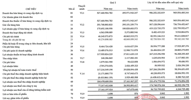 Đạt Phương (DPG): Quý 2 lãi 104 tỷ đồng, cao gấp 4 lần cùng kỳ 2020 - Ảnh 1.