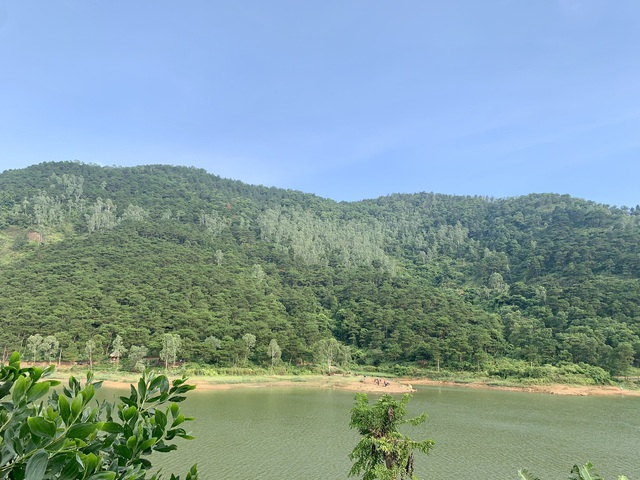 Đất rừng ven hồ Đồng Đò đang được nhiều người dân rao bán với giá 3 triệu đồng/m2.