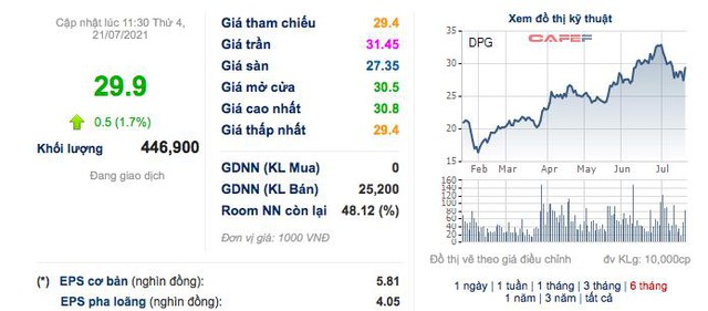 Đạt Phương (DPG): Quý 2 lãi 104 tỷ đồng, cao gấp 4 lần cùng kỳ 2020 - Ảnh 2.