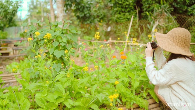 Cuộc sống yên bình bên khu vườn 2000m² sau hai năm bỏ phố về quê của cặp vợ chồng 9X - Ảnh 2.