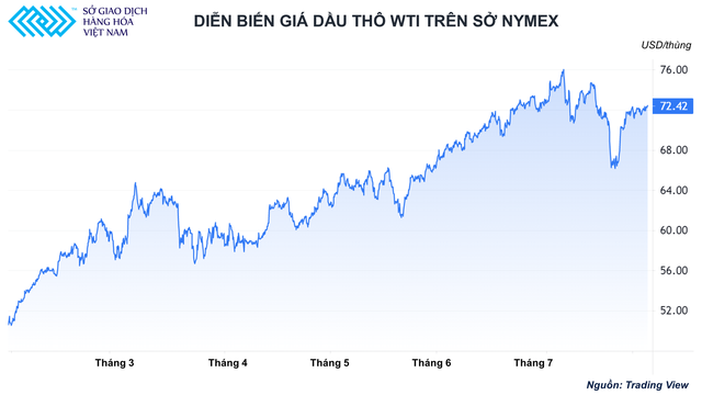 Triển vọng giá dầu 80 USD/thùng và thách thức từ biến chủng Delta - Ảnh 1.