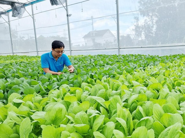 Đang làm ngân hàng, chàng trai bất ngờ chuyển hướng làm… nông dân - Ảnh 1.