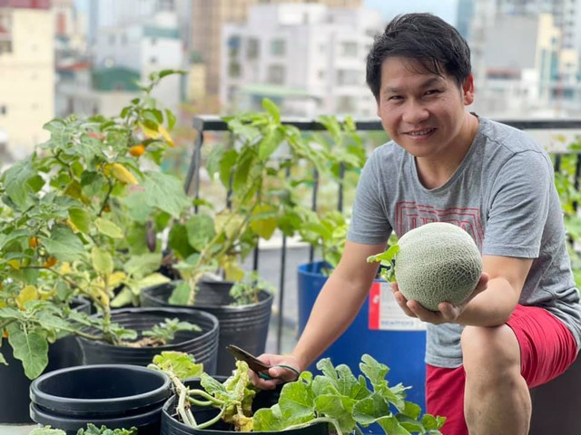 Sân thượng thoáng đãng nhưng xanh mướt, sai trĩu quả của ông hoàng nhạc đỏ Trọng Tấn - Ảnh 5.