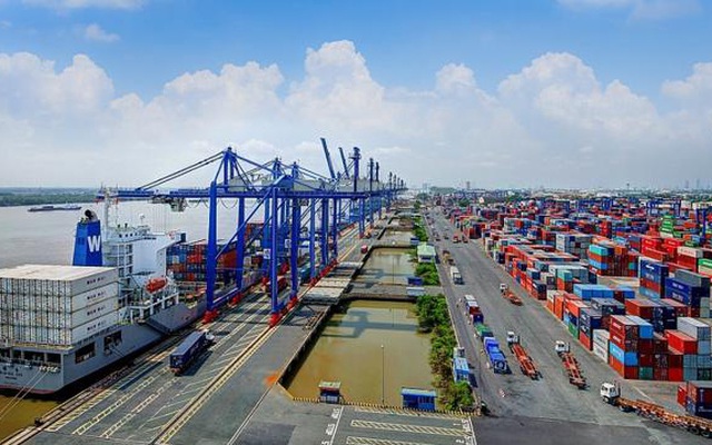 Thoát "thảm cảnh", khối lượng hàng hóa vận tải biển quốc tế tăng 54%