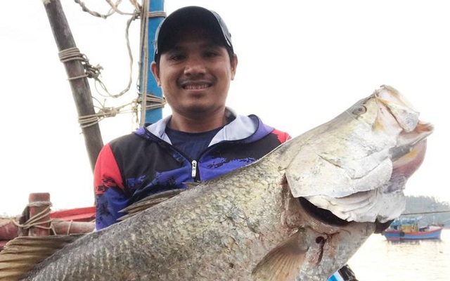 Anh Phạm Quốc Ánh và con cá chẽm nặng 14 kg. Ảnh: Báo Quảng Ngãi.