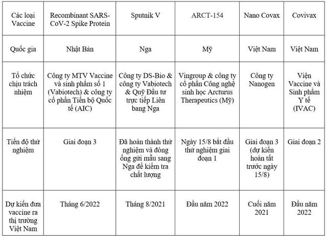 Nano Covax, Covivax, ARCT-154 do Vingroup đầu tư sản xuất và các vaccine Made-in-Vietnam khác đã đi được bao xa? - Ảnh 1.