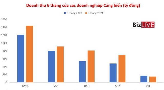 Cổ phiếu Cảng biển tạo sóng 3 sàn, nhiều mã tăng bằng lần từ đầu năm 2021 - Ảnh 3.