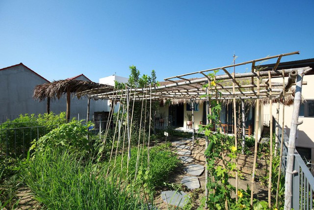 Giữa mùa dịch, gia chủ làm vườn, trồng rau trên mái nhà - Ảnh 16.