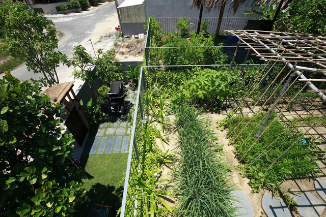Giữa mùa dịch, gia chủ làm vườn, trồng rau trên mái nhà - Ảnh 18.