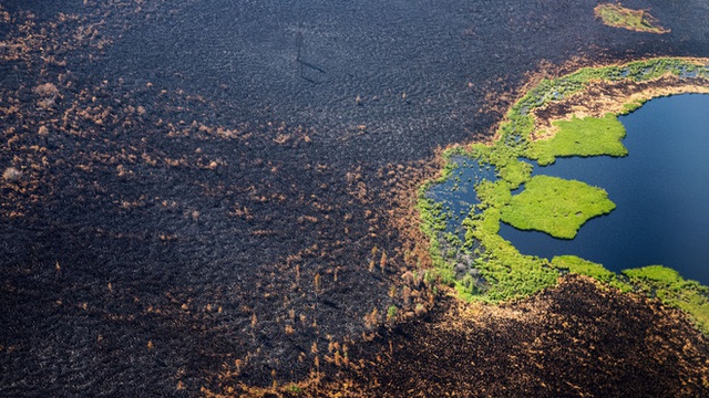 Cháy rừng khủng khiếp ở Siberia: Lớn hơn tất cả các đám cháy rừng trên thế giới cộng lại - Lập kỷ lục tồi tệ! - Ảnh 2.
