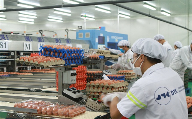 Cùng nhau đầu tư nuôi gà đẻ trứng: Hòa Phát bán 750.000 quả/ngày, đại gia nông nghiệp 30 năm kinh nghiệm bị Vietcombank thanh lý tài sản