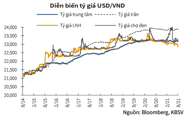 Sự trỗi dậy của đồng USD và tác động đối với các thị trường mới nổi như Việt Nam, Indonesia hay Malaysia - Ảnh 3.