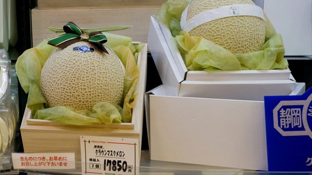 Rẻ như cho loại dưa hấu khổng lồ nặng tới 56kg, hương vị mới gây bất ngờ cho khách Việt - Ảnh 3.