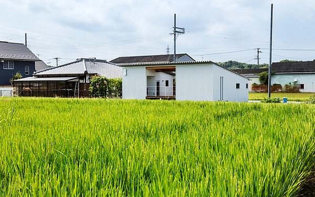 Long An chuyển gần 40 ha đất trồng lúa sang đất làm khu công nghiệp