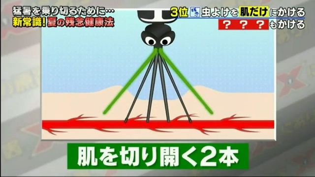 Chương trình Nhật Bản tiết lộ muỗi sợ ai tấn công nó, không dám đốt họ và 6 cách chống muỗi đốt hiệu quả mà có thể bạn chưa biết - Ảnh 2.