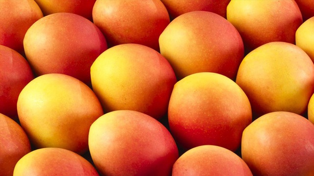 6 loại trái cây có tiền cũng chưa chắc mua được trên thế giới, có quả từng được chào bán với giá... 1,04 tỷ đồng - Ảnh 17.