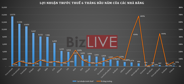 [Chart] Ngân hàng Việt Nam 6 tháng đầu năm 2021 qua những con số - Ảnh 11.