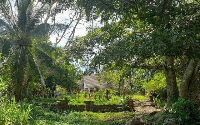 Theo đám đông trào lưu "bỏ phố về rừng" làm farmstay tiền tỷ, nhiều người cay đắng tiết lộ: Vỡ mộng thực sự, muốn bán gấp