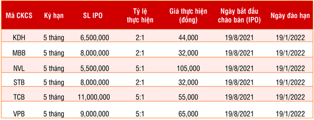 SSI phát hành 16 chứng quyền mới trong tháng 8, tập trung vào nhóm vốn hóa lớn như HPG, VIC, MSN, MWG, VHM… - Ảnh 2.