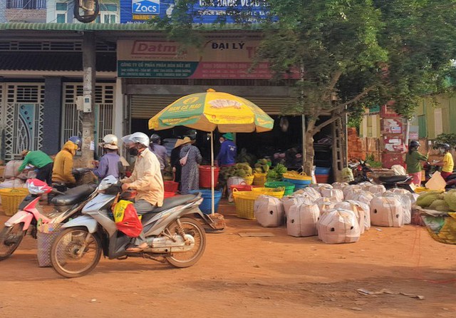  Thủ phủ sầu riêng chục nghìn tấn tắc đầu ra: Chỉ cần mỗi người Hà Nội mua 1 quả  - Ảnh 2.