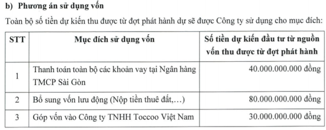 ĐHCĐ Louis Land (BII): Thông qua phương án phát hành 15 triệu cổ phiếu, dự kiến lãi hơn 30 tỷ đồng trong năm 2021 - Ảnh 1.