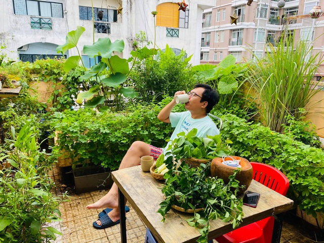 Khu vườn sân thượng 20m2 xanh mướt của chàng trai Sài Gòn: Có đủ rau xanh, hoa tươi, chủ nhân thưởng trà, nuôi chim quá nên thơ - Ảnh 5.
