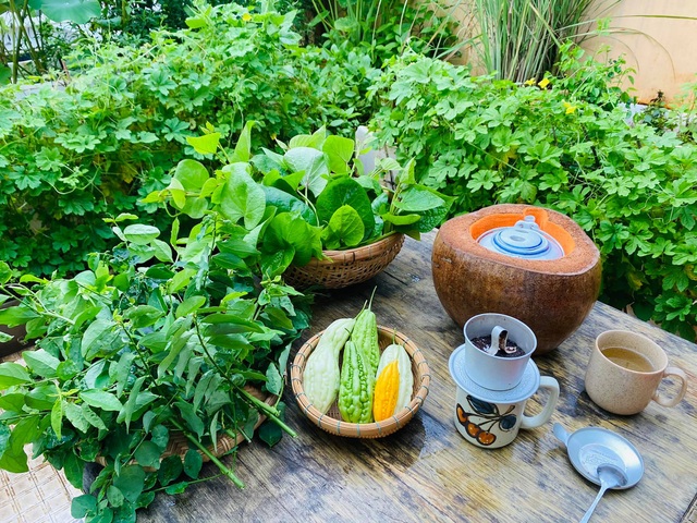 Khu vườn sân thượng 20m2 xanh mướt của chàng trai Sài Gòn: Có đủ rau xanh, hoa tươi, chủ nhân thưởng trà, nuôi chim quá nên thơ - Ảnh 4.