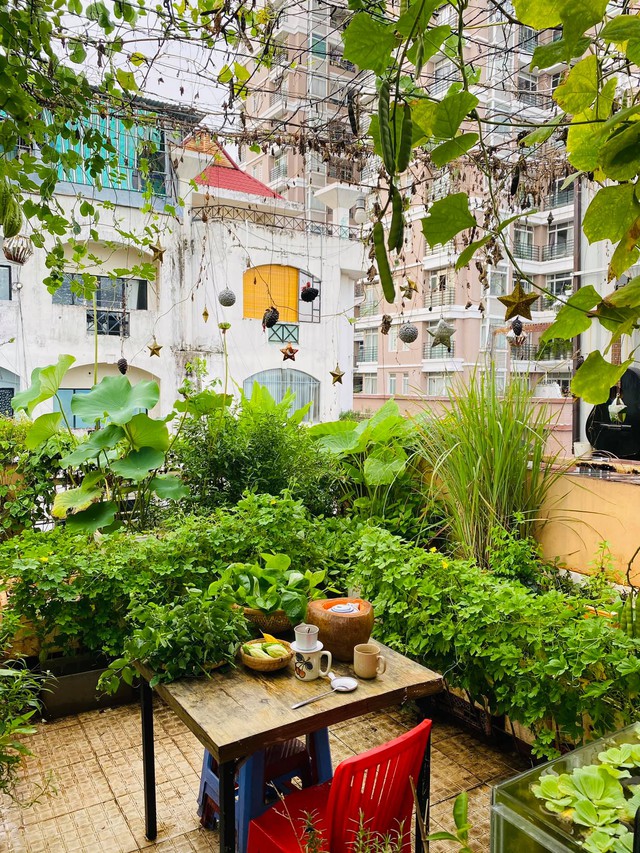 Khu vườn sân thượng 20m2 xanh mướt của chàng trai Sài Gòn: Có đủ rau xanh, hoa tươi, chủ nhân thưởng trà, nuôi chim quá nên thơ - Ảnh 2.