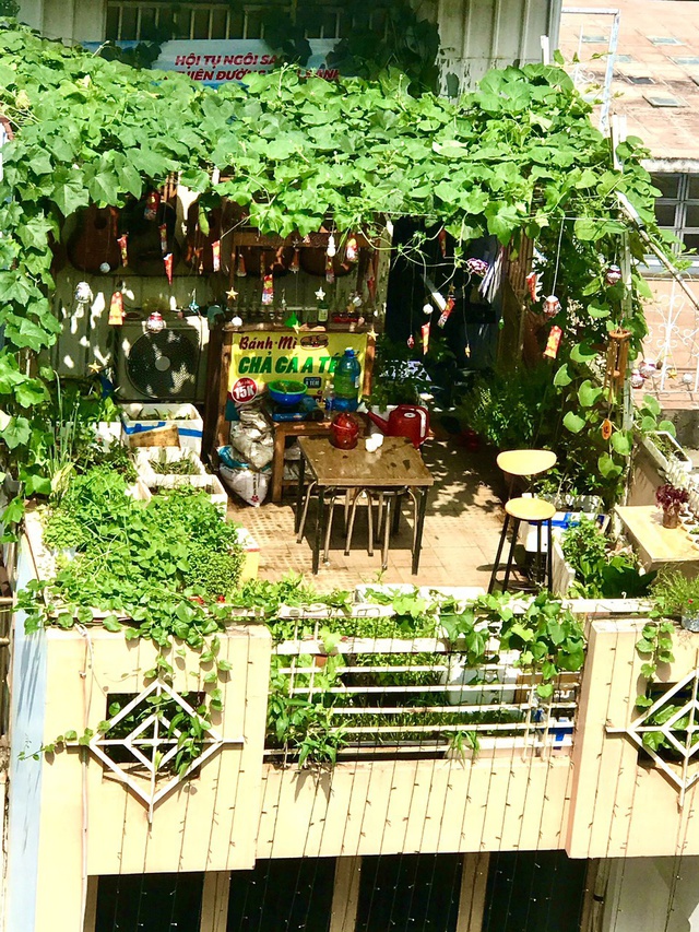 The 20m2 green terrace garden of a Saigon boy: There are enough green vegetables, fresh flowers, the owner enjoys tea, raises birds so poetically - Photo 10.