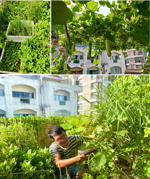 Khu vườn sân thượng 20m2 xanh mướt của chàng trai Sài Gòn: Có đủ rau xanh, hoa tươi, chủ nhân thưởng trà, nuôi chim quá nên thơ - Ảnh 6.