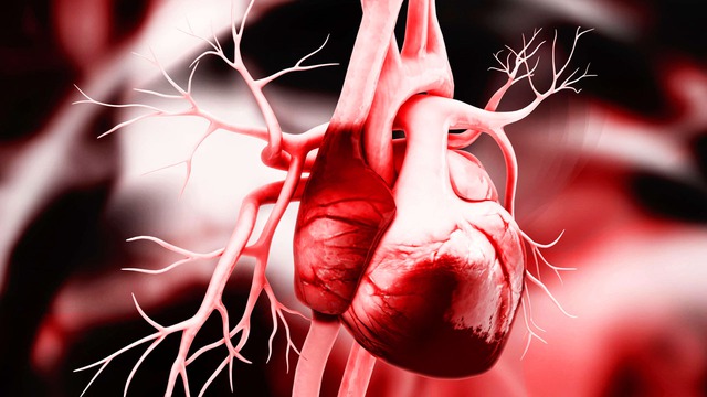 5 dấu hiệu nhận biết trái tim đang kêu cứu, phát hiện sớm để ngăn chặn cái chết do đột tử - Ảnh 1.