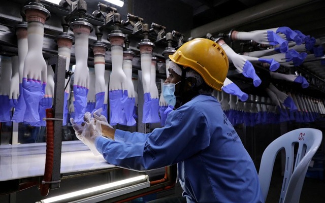 Công nhân kiểm tra các găng tay vừa được sản xuất tại nhà máy Top Glove ở Shah Alam, Malaysia, ngày 26/8/2020. Ảnh: Reuters.