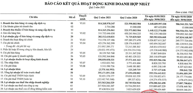 Bamboo Capital (BCG): Ghi nhận lãi đột biến từ đầu tư, quý 2/2021 LNST cao gấp 16 lần cùng kỳ với 316 tỷ đồng - Ảnh 3.