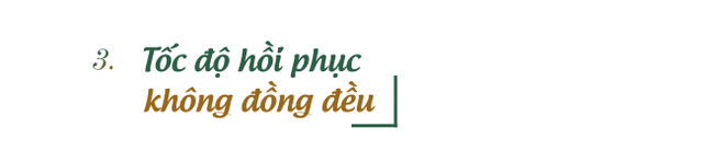 Lĩnh vực xương sống bất lực kêu cứu, đà tăng trưởng của Trung Quốc đứng trước rủi ro lớn  - Ảnh 5.