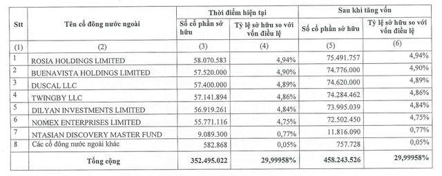  Cổ đông nước ngoài đang sở hữu 30% vốn tại MSB, là những cái tên nào?  - Ảnh 2.